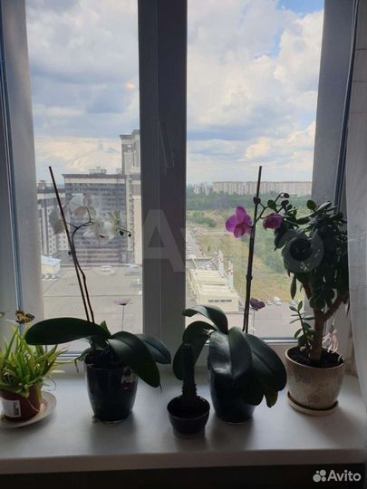 2-к. квартира, 62 м², 18/25 эт.