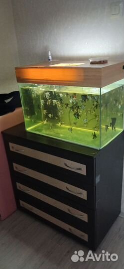 Украшение для аквариума