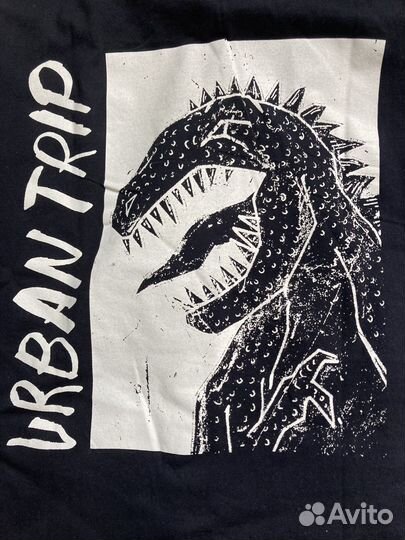 Рубашка и футболка zara kids Доставка от 2-х дней