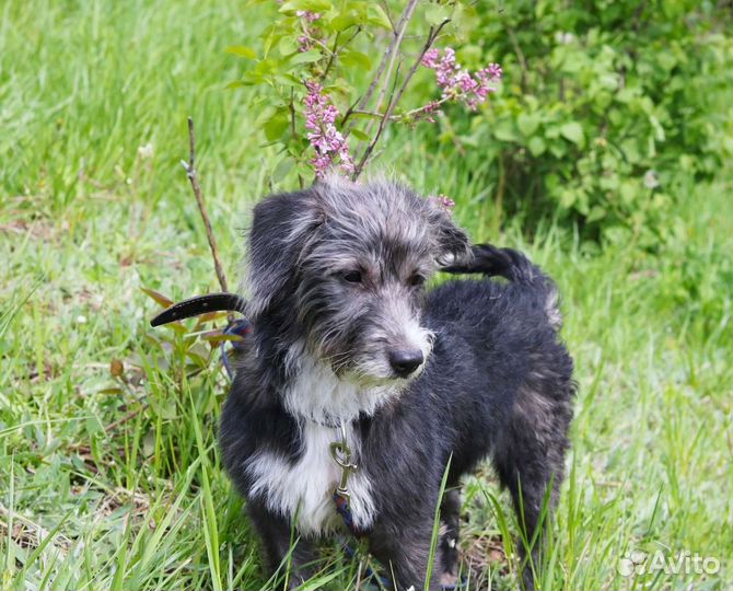 Манечка в семью