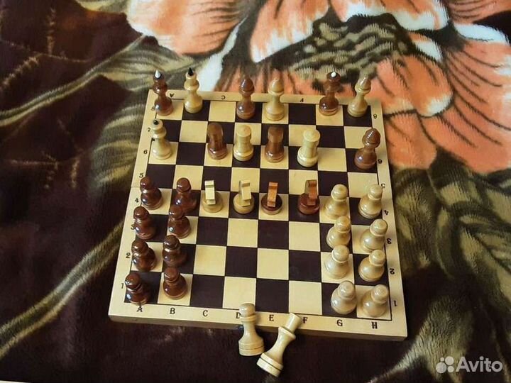 Шахматы шашки