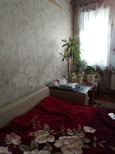 2-к. квартира, 53,4 м², 2/2 эт.