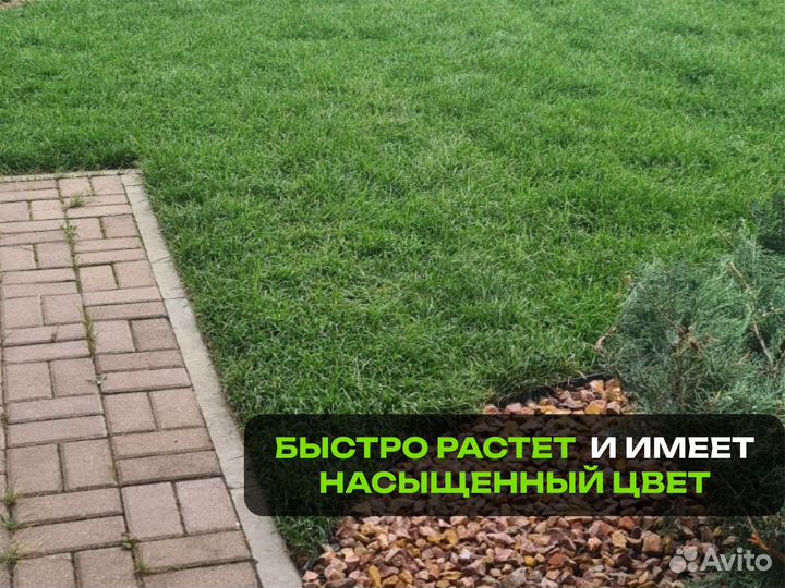 Рулонный газон Спорт. От производителя