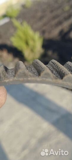 Ремень грм Renault duster 2л