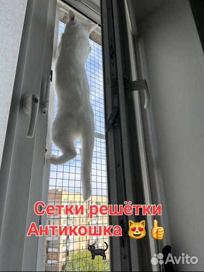 Антикошка сетки