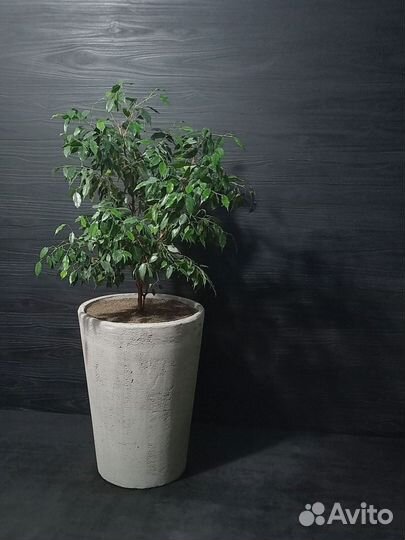 Вазоны, Горшки, Кашпо под заказ из бетона