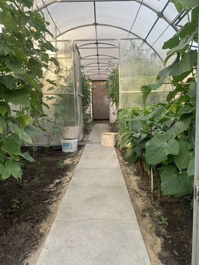 Дача 55,4 м² на участке 8 сот.