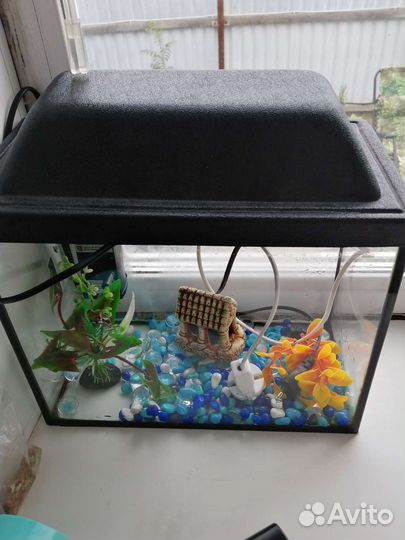 Аквариум