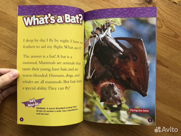 National Geographic Kids Level 2 (english)