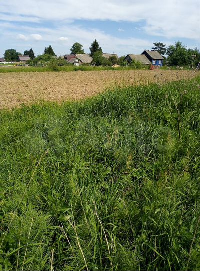 Участок 12,9 сот. (ИЖС)