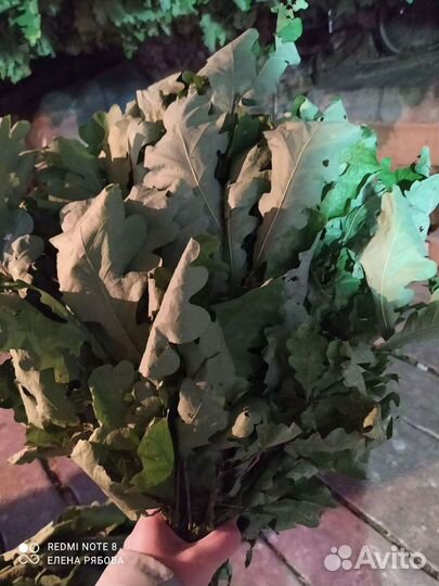 Дубовые веники для бани