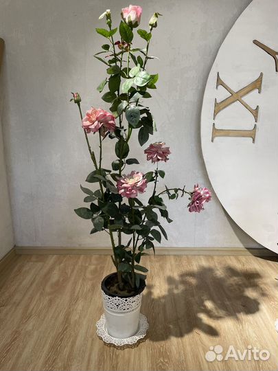 Искусственные цветы для декора бу