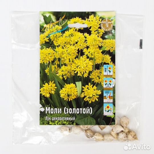 Садовые цветы