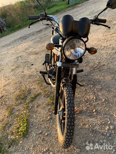 Альфа рх11lux