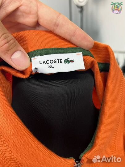 Поло Lacoste - 3 цвета