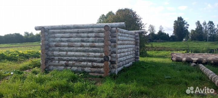 Сруб бани 46