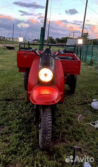 Муравей с документами