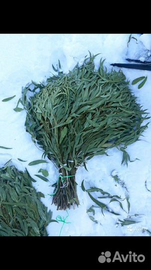 Веники для бани