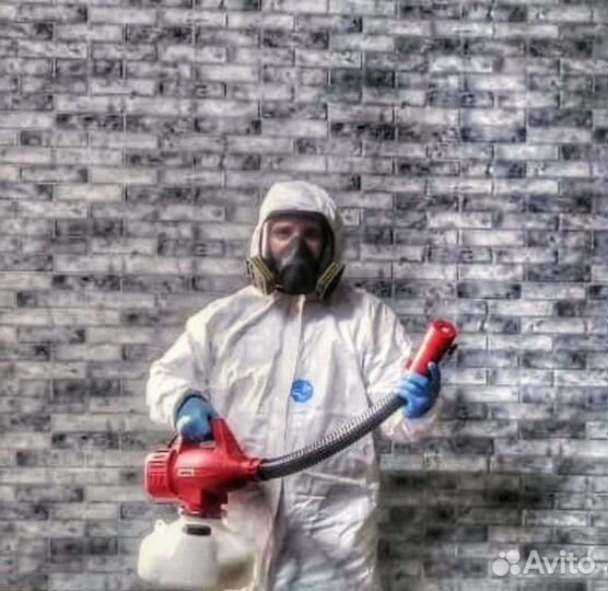 Уничтожение тараканов,клопов,обрaботкa от вирусoв