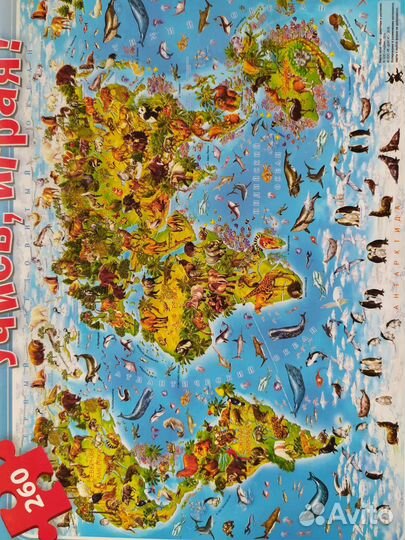 Пазлы 260 элементов