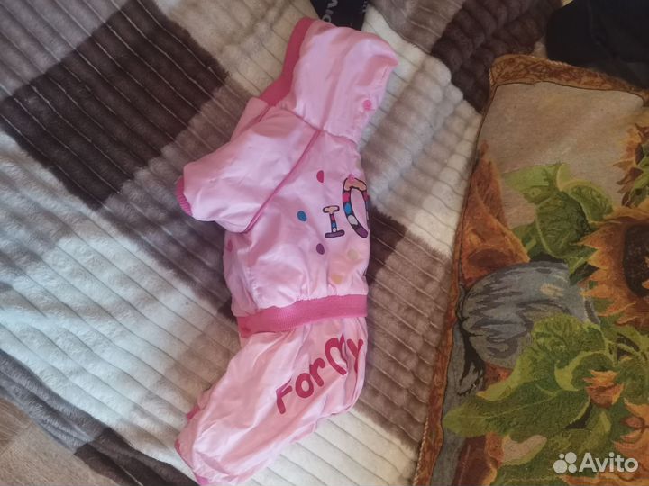 Одежда для собак