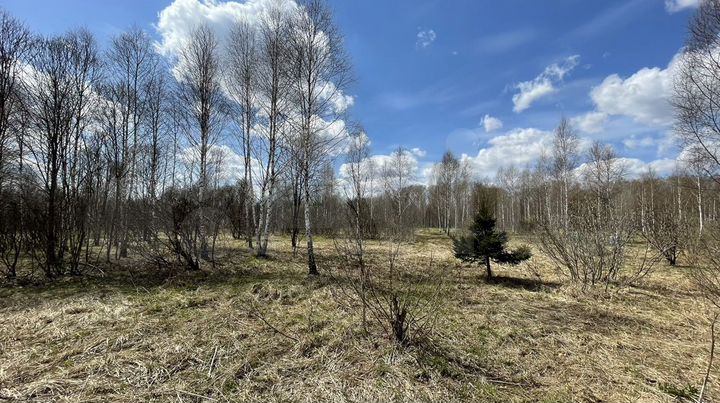 Участок 18,5 га (СНТ, ДНП)