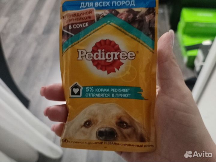 Корм для кошки