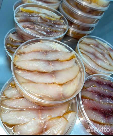 Северная рыба