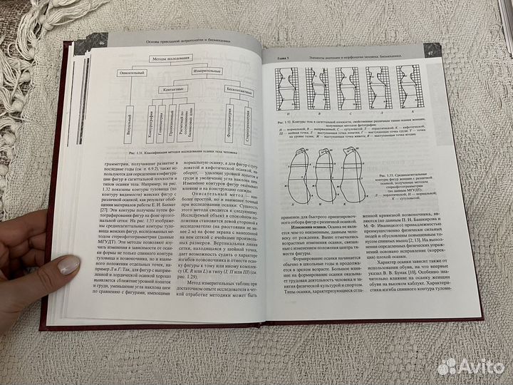 Основы прикладной антропологии и биомеханики