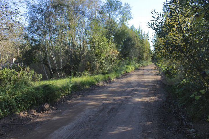 Участок 10 сот. (СНТ, ДНП)
