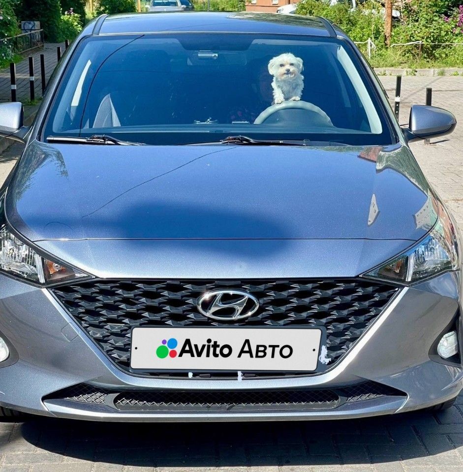 Hyundai Solaris: фото владельца