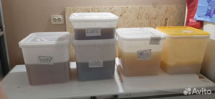 Алтайские меда 2023