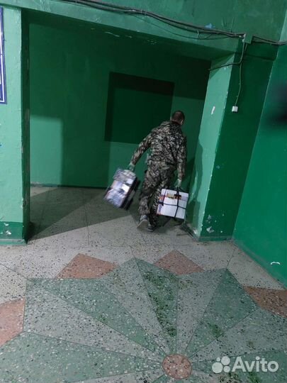 Грузчики, газель, перевести мебель