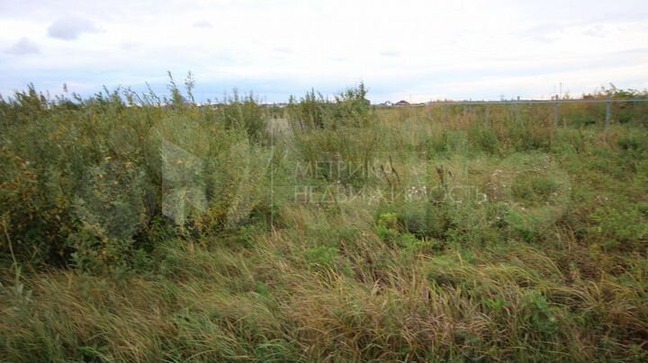 Участок 8 сот. (СНТ, ДНП)