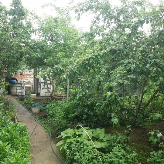 Дом 65,9 м² на участке 4 сот.