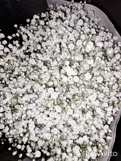 Гипсофила, розы, хризантемы, букеты