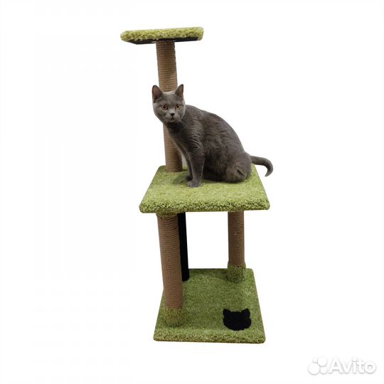 Когтеточка, игровой комплекс для кошек