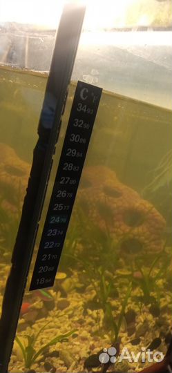 Аквариум75литров+рыбки