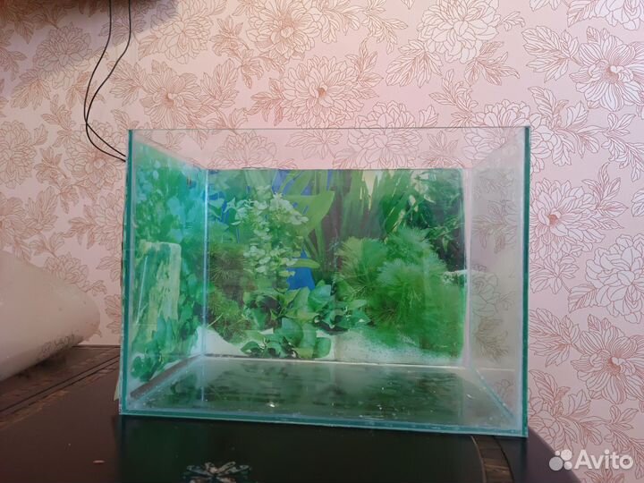 Аквариум