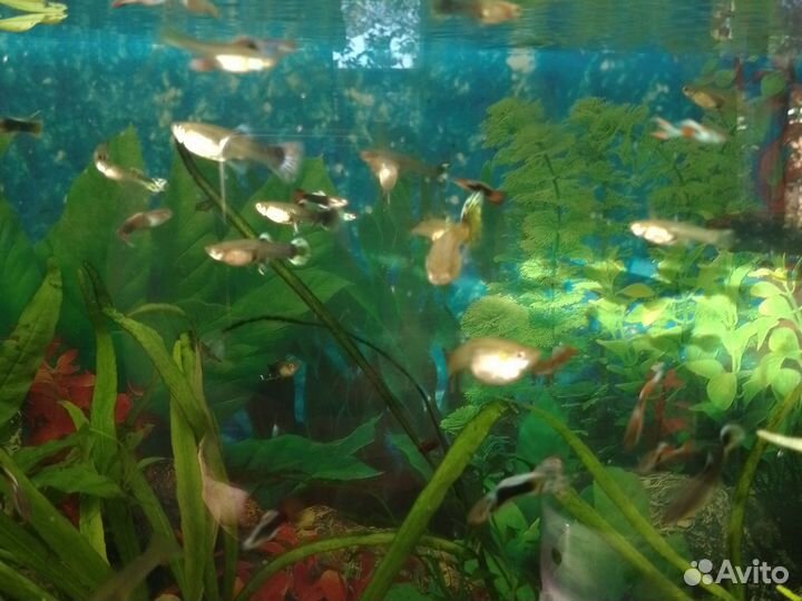 Фильтр для воды