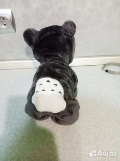 Костюм для кошки