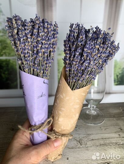 Лаванда ароматная букет сухоцвет