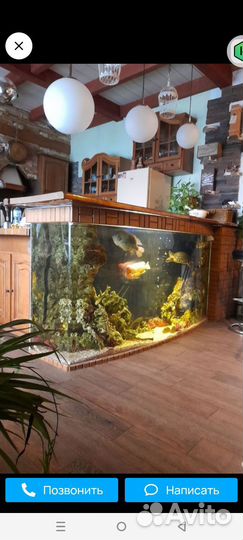 Установка, декорирование и обслуживание аквариумов