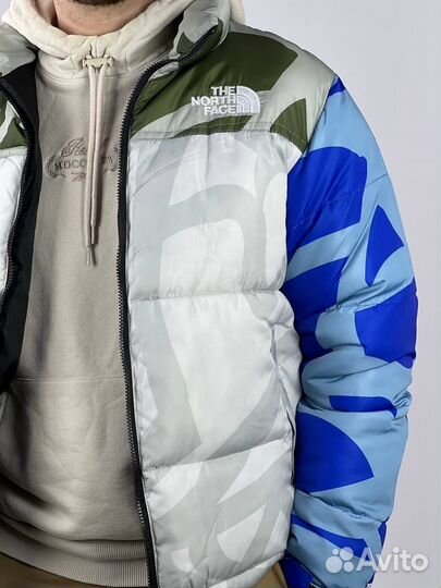 Зимняя куртка TNF