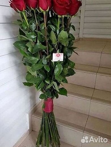 Розы Букеты Цветы Розы 31 101 151 201 Доставка