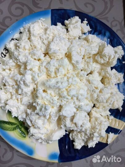 Домашний творог доставка