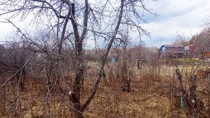 Участок 8 сот. (СНТ, ДНП)