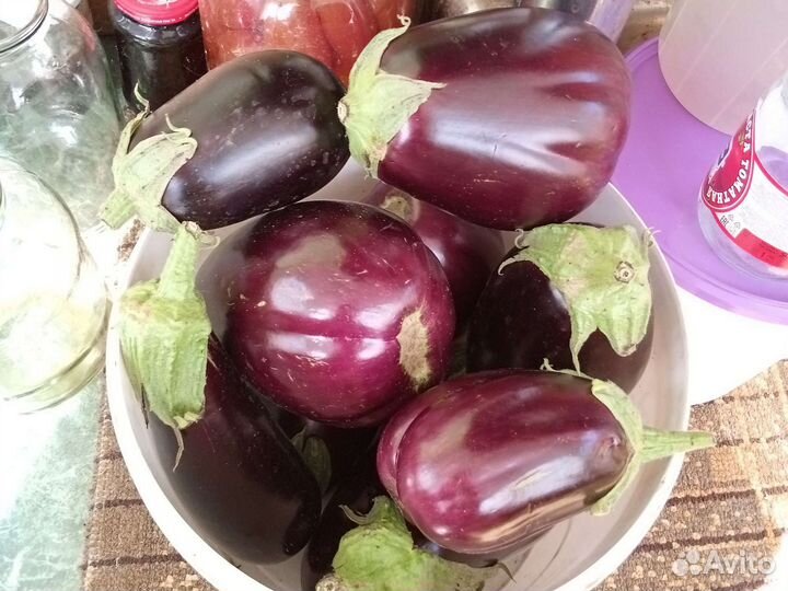 Баклажан свежий