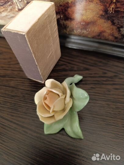 Фарфоровые цветы. Алька