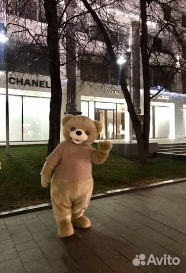 Мишка медведь поздравление белый